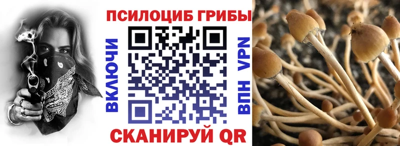 дарнет шоп  Озёры  Галлюциногенные грибы GOLDEN TEACHER 